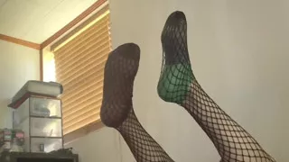 Trans Pet Decides to Explore Herself While Her Owner is Away!