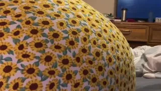 Bundle of Over 450 Farts! Fart Compilations 1-7 with Bonus by Bella Blast