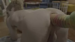 Michael Vegas and Ribbed Toy