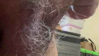 Male Penis and Balls