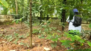 House wife on vacation, walking naked in jungle. Exposing her sexy ass and bigg boobs