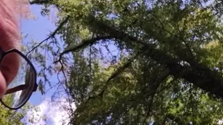 walking naked in the forest