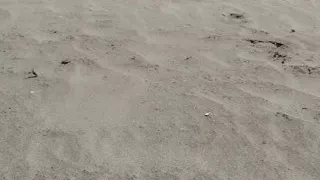 On the Beach Nude