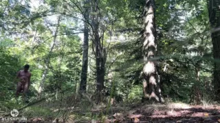 Private Lake Tim Blesh in the Forest