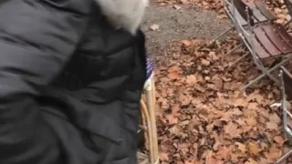 Autumn blowjob with fucking in Dresden