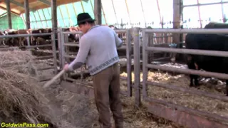 Horny German lesbian milfs at work