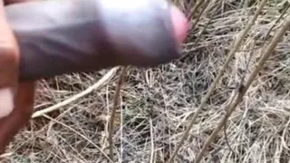 Outdoor Cumshot Complaition In Jungle