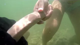 Wife Beach Vacation Sex and Suck Cock Twice