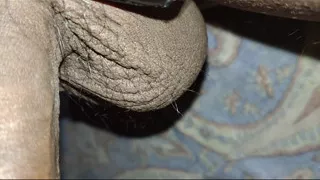 Nice village indian bhabi hardcor all time sex videos  Bengali