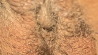 Hairy Pussy sex