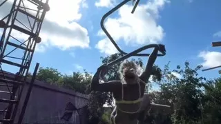 Do you like my dance for you?