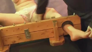 Pt 2 Angelica Meow Tickled by Tmh Its Time to Put This Cute Girls Sexy Feet Ins Tocks Where Tmh Tickles Them