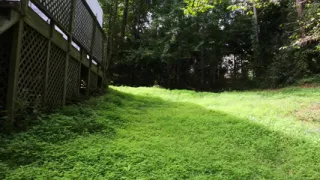Big Fake Tits Crossdresser in Daisy Dukes Mowing Grass