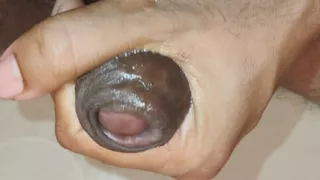 Hard cock ready to have sex