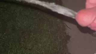 I Had To Pee Ladies