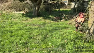 Easter Bunnies