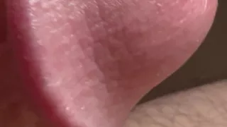 Closeup of Penis with One Vein