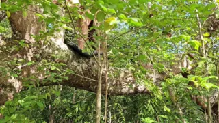 A Buddy Grabbed Me in the Woods and Rammed His Cock Hard Into Me, Cumming Deep Inside My Ass