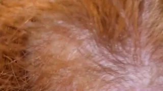 Ruby Nutflixxx and Chill