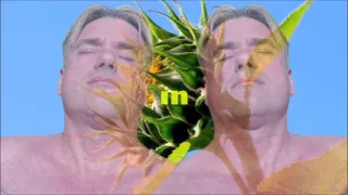 Sunny Day Sunny Sperm 1