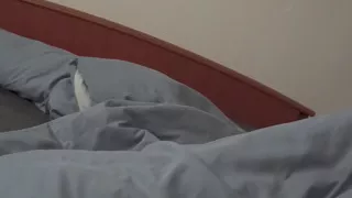 Gay boy alone at home