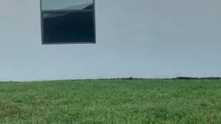 Exposed Outside
