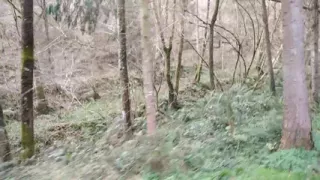 The Horny Stepfather Went on a Hike, When He Took Out His Bonita Cock a Tick Fell on His Cock
