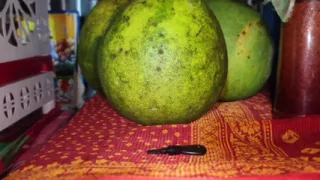 Bangla audio Desi Hot bhabhi and dewar ji indian sex