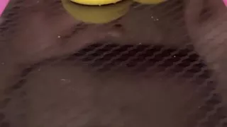 Does Anyone Not Like Sperm Cookies?