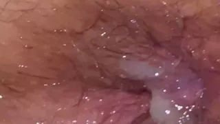 Amateur Wife Anal Creampie - First Time Ever!