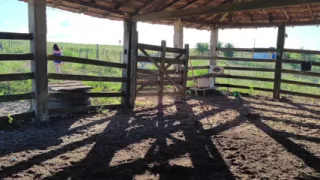 I Went To Visit My Farm And Ended Up Having Sex With The Cowboy He Fucked Me Like A Slut