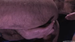Big Bigger Biggest 2