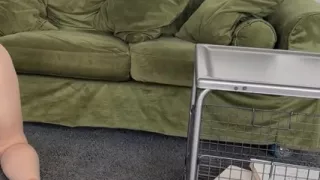 very short shorts stretching