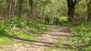 Very horny, decided to go out looking for some fun.