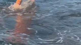 Try Not to Wet My Hair While Play with the Waves