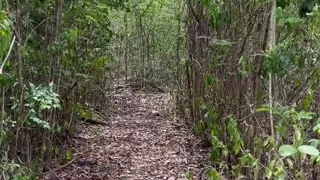 Hiking in the Wood and Abandoned Park Jerking off Until Cum Ortizjona  Jona Ortiz