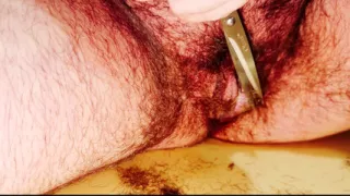 Needed a Trim