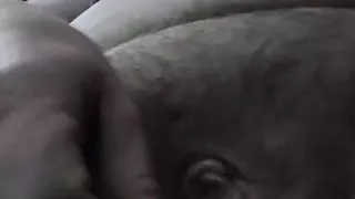Cum with Me
