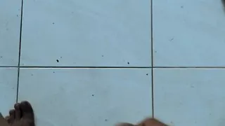 Exit part 8