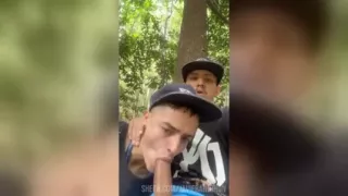 Blowjobs and Cruising