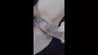 Long Sexting Session Subtitled Goth Girl Slim Shows Underwear And Ends With Orgasm