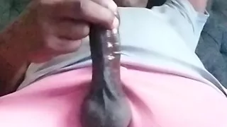 My hard dick
