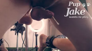 Pup Jake cums in 60 seconds getting fucked