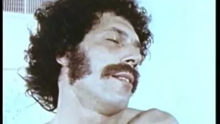John Holmes Orgy