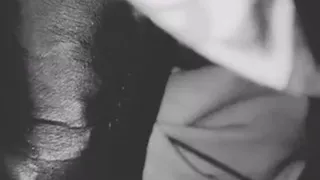 Cheating Wife Loves Getting Fucked Hard and love sucking