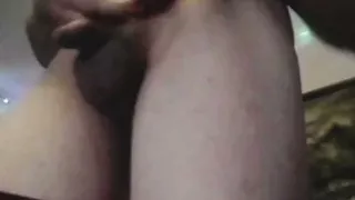Harrynakkert