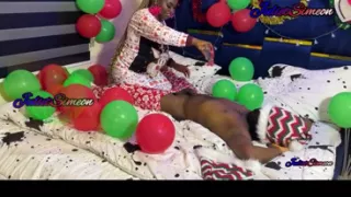 Christmas Priceless Gift 2025
