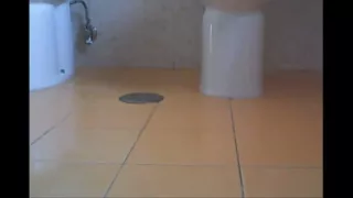Love to Pee and Farts! See How I Lick My Gold Water