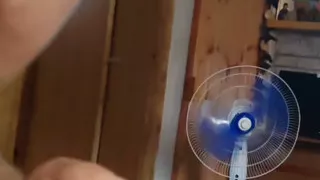 wife blowjob me