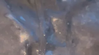 Bbc Cum Stain Shorts: Part 4
